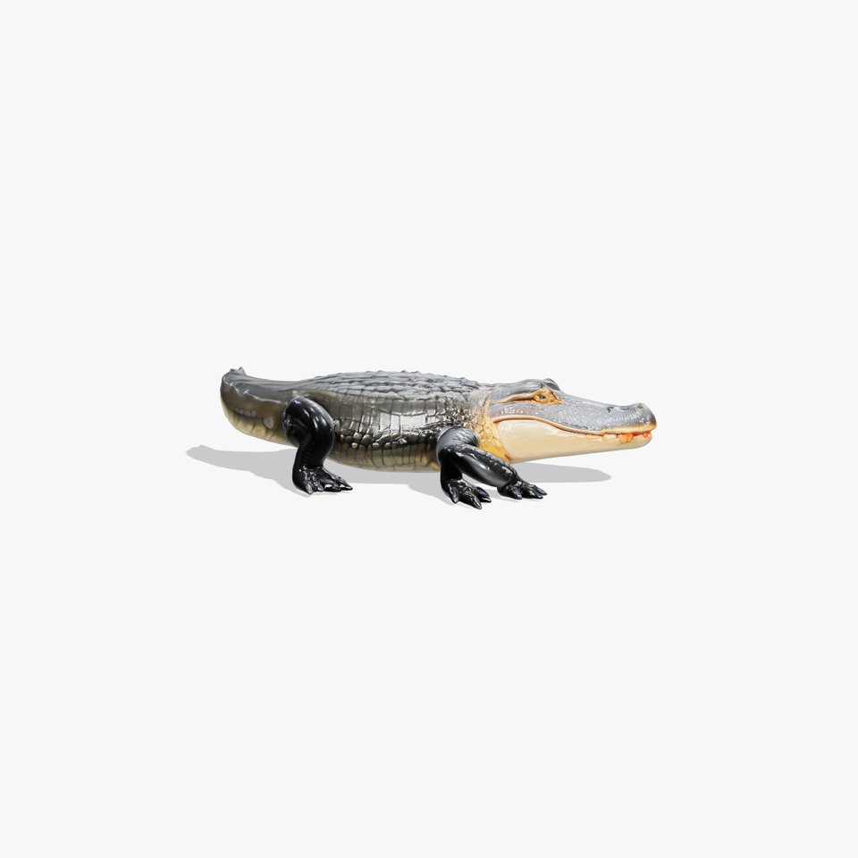 American Alligator D Model Pack with Detailed Textures